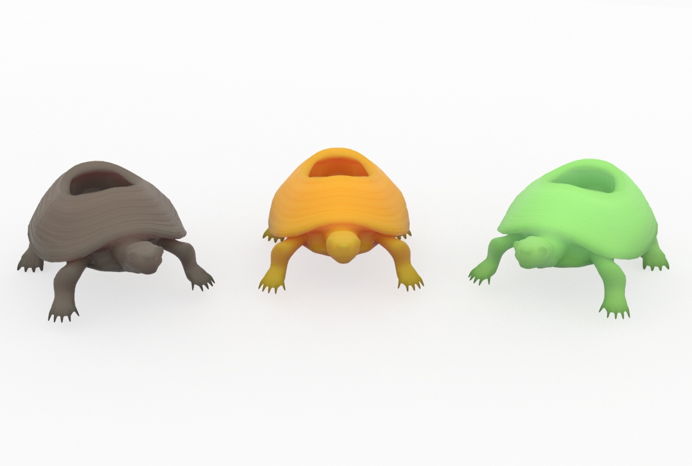 tartaruga portoggetti1