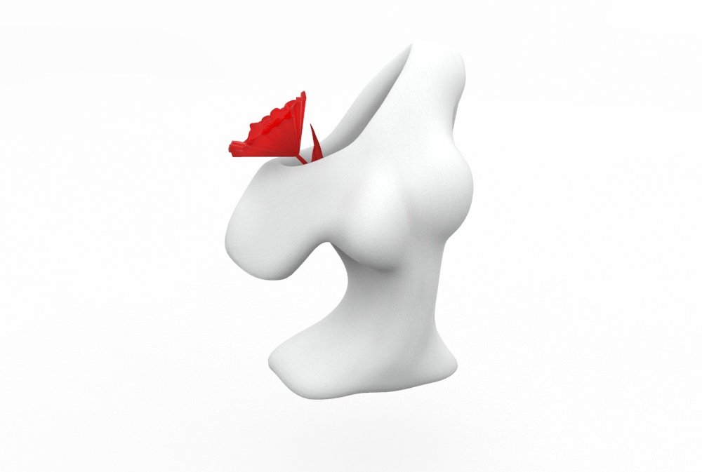 vasodonna